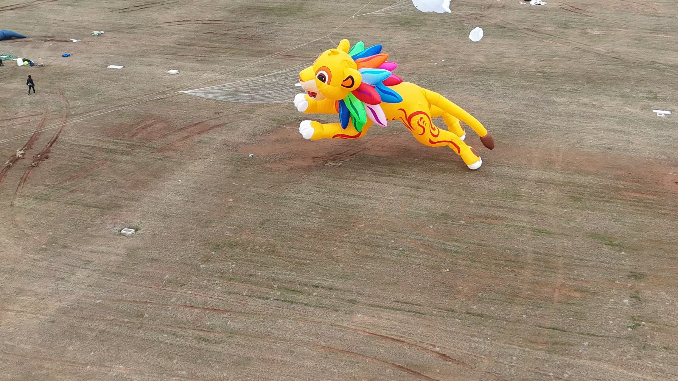 西宁市品牌风筝定制风筝批发 - 价格