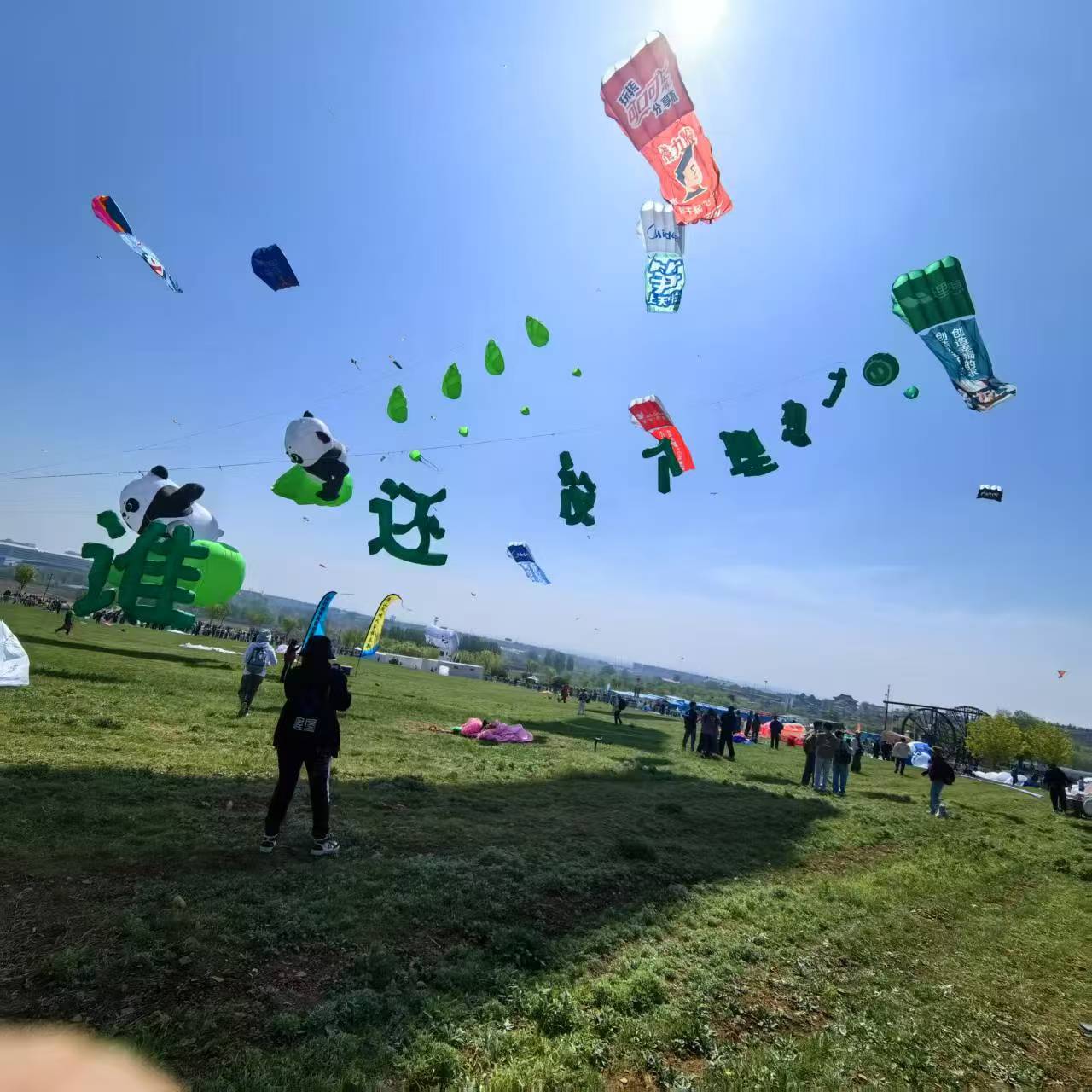 西宁市儿童风筝定制风筝定制 - 价格